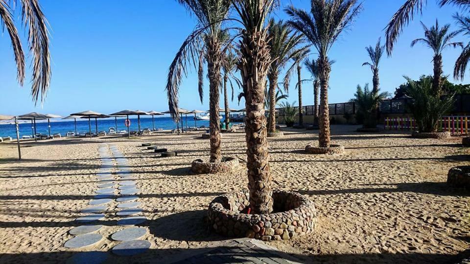 Exoticky Apartman Hurghada Exteriör bild