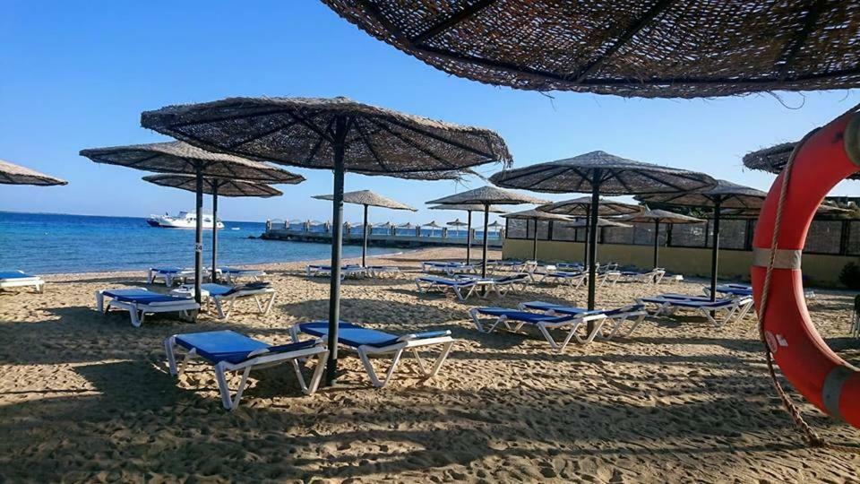 Exoticky Apartman Hurghada Exteriör bild